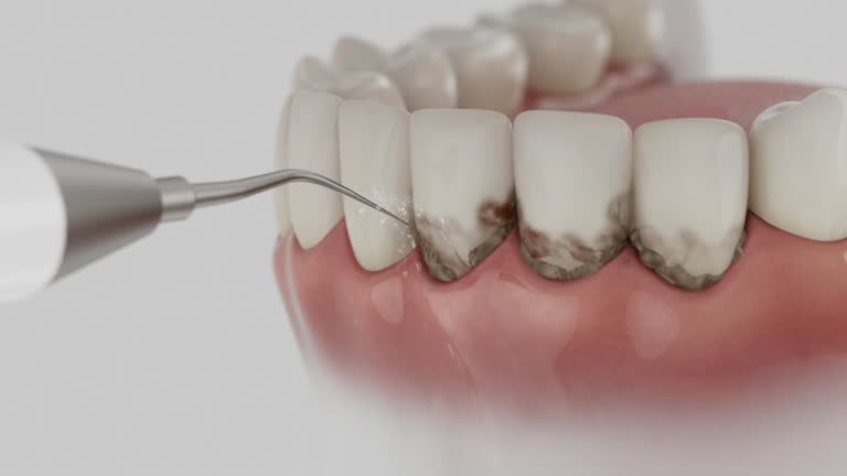Reliable Dental contractor in Stone Mountain, GA by Dentist Open Now